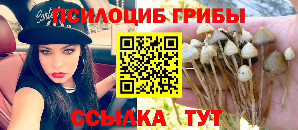 Псилоцибиновые грибы мицелий Киреевск