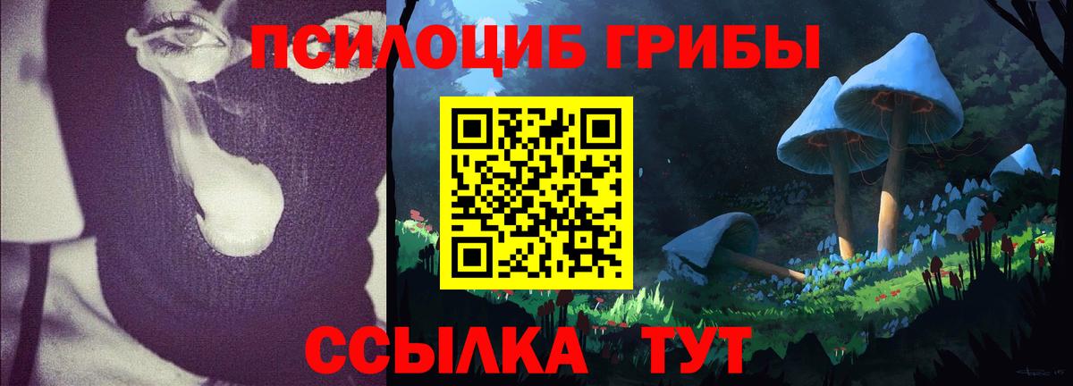 Киреевск  Псилоцибиновые грибы MAGIC MUSHROOMS  Вход с VPN 